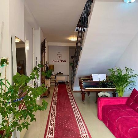Casa Pino Hotel Brasov Ngoại thất bức ảnh